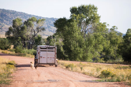 Types of Farming Trailers Image
